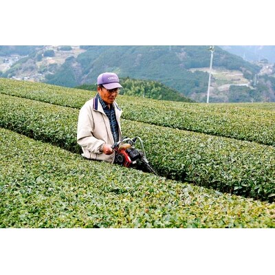 香り高いお茶セット(L)