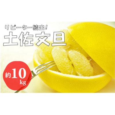 【2026年発送】土佐文旦(約10kg/16～23玉) 　フルーツ 果物 新鮮 産直