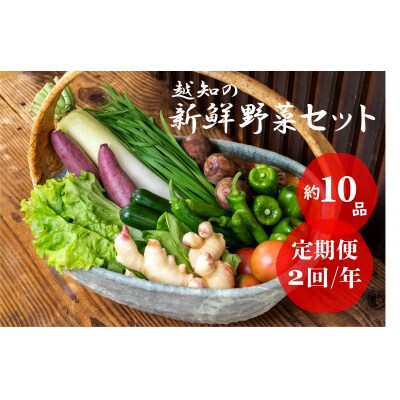 越知産市の季節の野菜セット(年2回発送)　産地直送　旬野菜