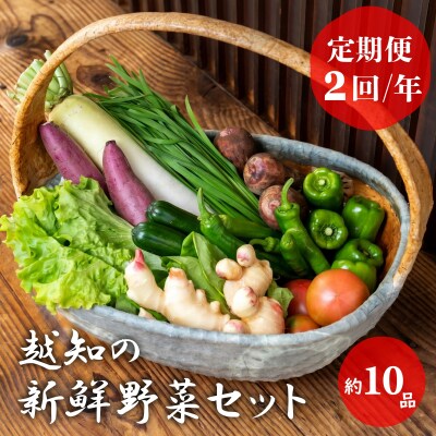 越知産市の季節の野菜セット(年2回発送)　産地直送　旬野菜