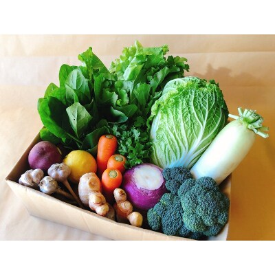 越知産市の季節の野菜セット(年2回発送)　産地直送　旬野菜