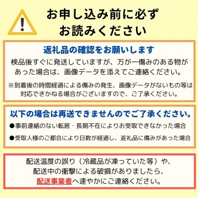 越知産市の季節の野菜セット(年2回発送)　産地直送　旬野菜