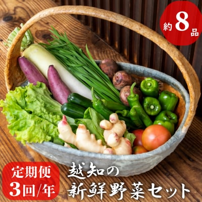 越知産市の季節の野菜セット(年3回発送)　産地直送　旬野菜