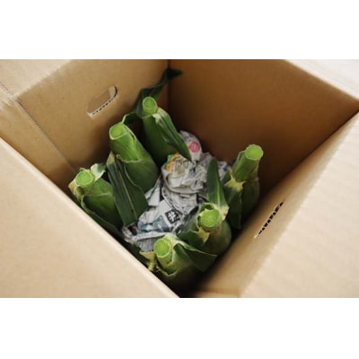 【期間限定】≪数量限定≫ 山中さんの朝採れ　スイートコーン