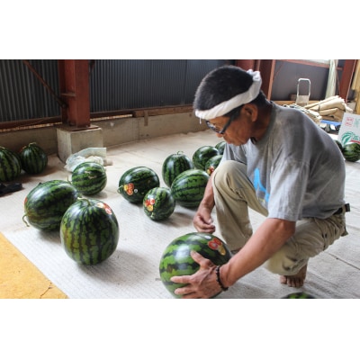 越知町のあま～いスイカ【約8kg　1玉】