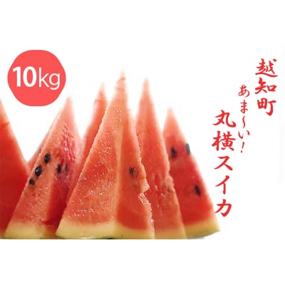 越知町のあま～いスイカ【約10kg　1玉】