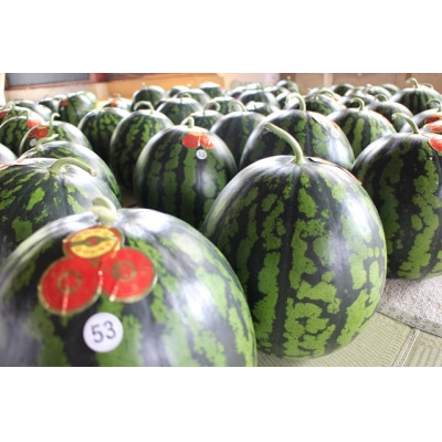 越知町のあま～いスイカ【約10kg　1玉】