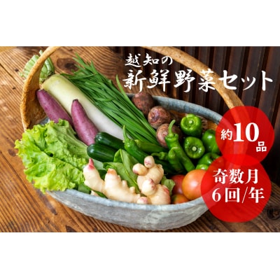 越知産市の季節の野菜セット(年6回発送) 奇数月　産地直送　旬野菜
