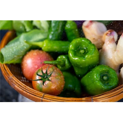 越知産市の季節の野菜セット(年6回発送) 奇数月　産地直送　旬野菜