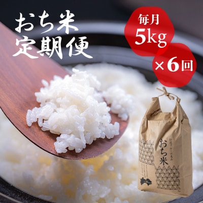 「おち米」定期便　(5kg × 6回)　産直　白米
