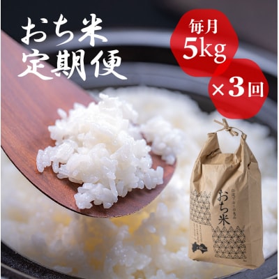 「おち米」定期便　(5kg × 3回)　産直　白米