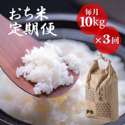 「おち米」定期便　(10kg × 3回)　産直　白米