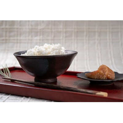「おち米」定期便　(10kg × 3回)　産直　白米