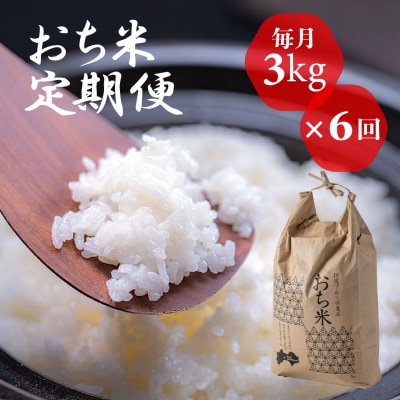 「おち米」定期便　(3kg × 6回)　産直　白米