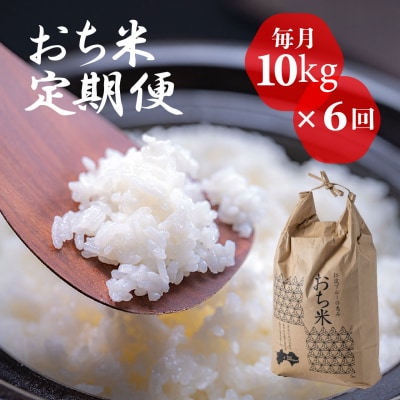 「おち米」定期便　(10kg × 6回)　産直　白米