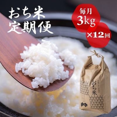 「おち米」定期便　(3kg × 12回)　産直　白米