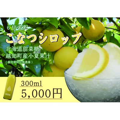 小夏シロップ(300ml)