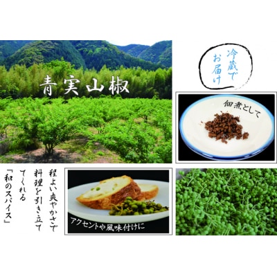 【0.5kg】青実山椒(枝付)初期物 