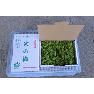 【1kg】青実山椒(枝付)初期物