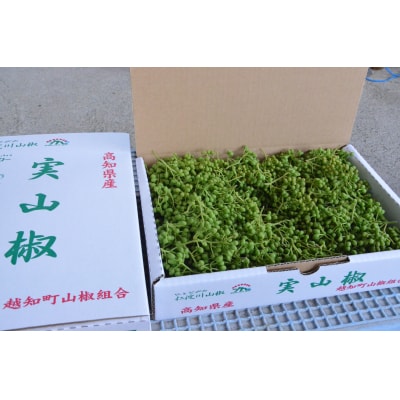 【1kg】青実山椒(枝付)初期物