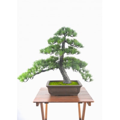 盆栽 松(造花)Go-566