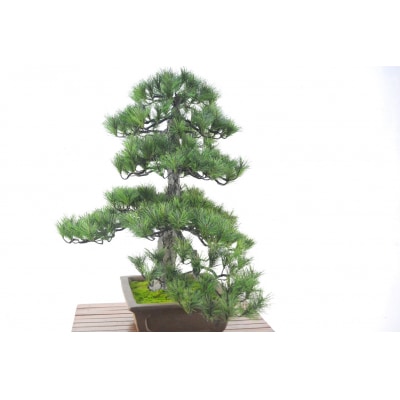 盆栽 松(造花)Go-566