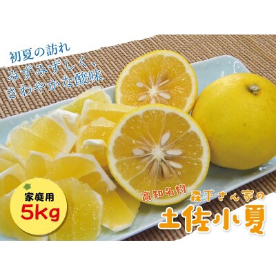 【2026年発送】森下さん家の(家庭用)土佐小夏(約5kg) 