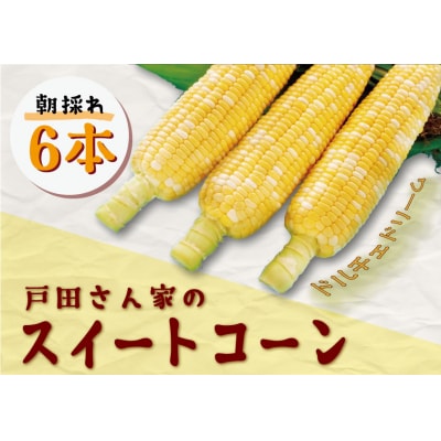 【期間限定】≪数量限定≫ 戸田さんの朝採れ スイートコーン