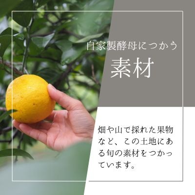 自家製酵母パン　おまかせセット