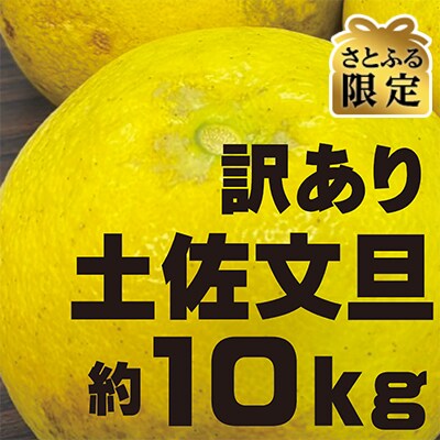 【さとふる限定】【生産者緊急支援品】【訳あり】土佐文旦 家庭用(M～5L混合サイズ) 約10kg