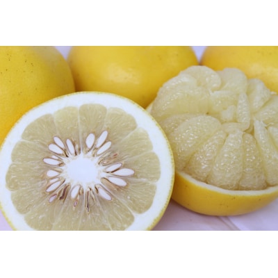 【さとふる限定】【生産者緊急支援品】【訳あり】土佐文旦 家庭用(M～5L混合サイズ) 約10kg