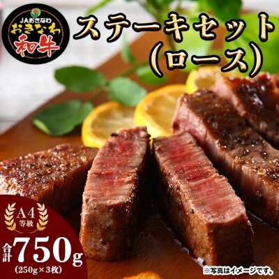 おきなわ和牛ステーキセット(ロース) | ふるさと納税のお礼品