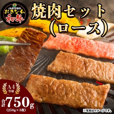 おきなわ和牛焼肉セット(ロース)