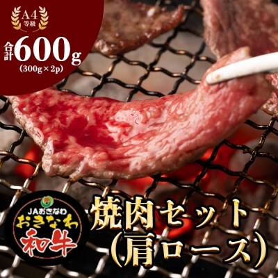 おきなわ和牛焼肉セット(肩ロース)