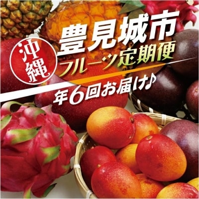 沖縄フルーツ定期便(年6回コース)
