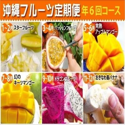 沖縄フルーツ定期便(年6回コース)