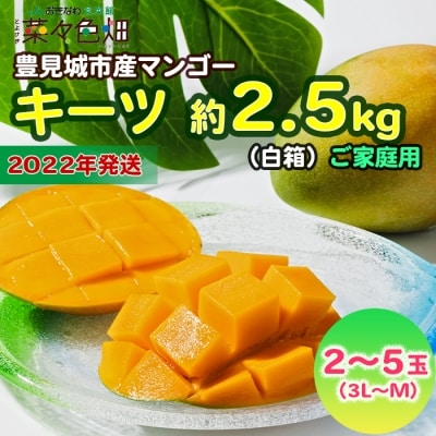 22年発送 キーツ約2 5 白箱 ご家庭用 お礼品詳細 ふるさと納税なら さとふる