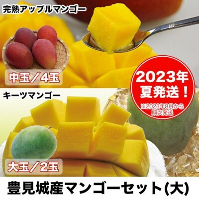 【2023年発送】豊見城産マンゴーセット(大)  | ふるさと納税のお礼品