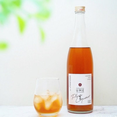 八鹿梅酒&やつしかかぼすリキュールセット