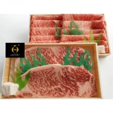 おおいた和牛　サーロインステーキ(220g×2枚)&リブロース　スライス(400g)