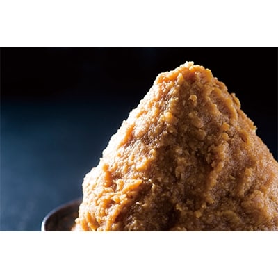 【九州の発酵力】家族のみそ (500g)×6個セット 