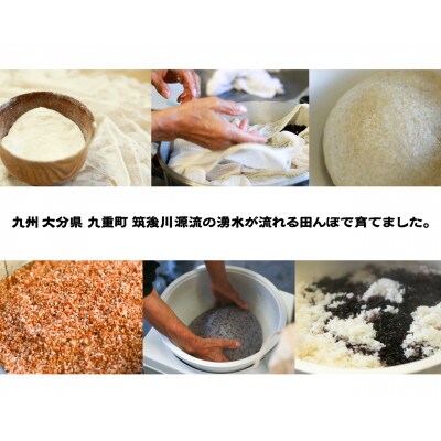佐藤ファームの正月用古代米もちセット 400g×4