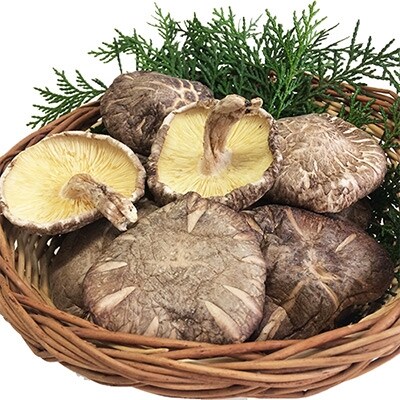大分産椎茸こうしん　300g(50g×6袋) 【九重町】