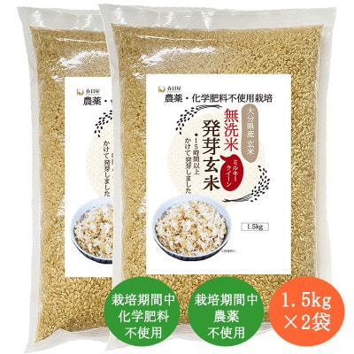 発芽玄米(大分県産ミルキークイーン) 無洗米1.5kg×2袋(3.0kg)