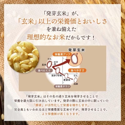 発芽玄米(大分県産ミルキークイーン) 無洗米1.5kg×2袋(3.0kg)
