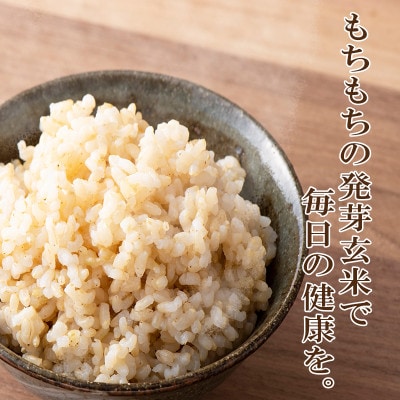 発芽玄米(大分県産ミルキークイーン) 無洗米1.5kg×2袋(3.0kg)
