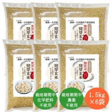 発芽玄米(大分県産ミルキークイーン) 無洗米1.5kg×6袋(9.0kg)