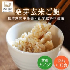 栽培期間中農薬・化学肥料不使用 発芽玄米ごはん 12食分【常温タイプ】 レンジ対応