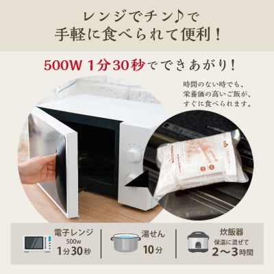 【常温】3日寝かせ発芽酵素 玄米ごはん12食セット