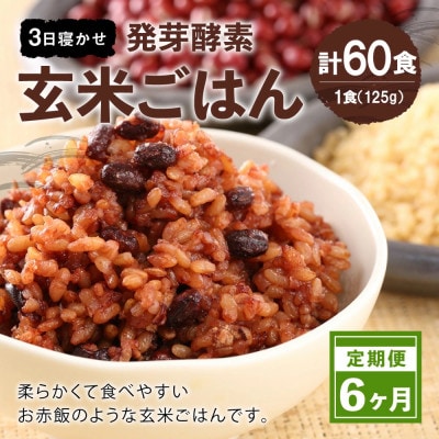 【毎月定期便】【常温】レンジ対応!3日寝かせ発芽酵素玄米ごはん10食全6回